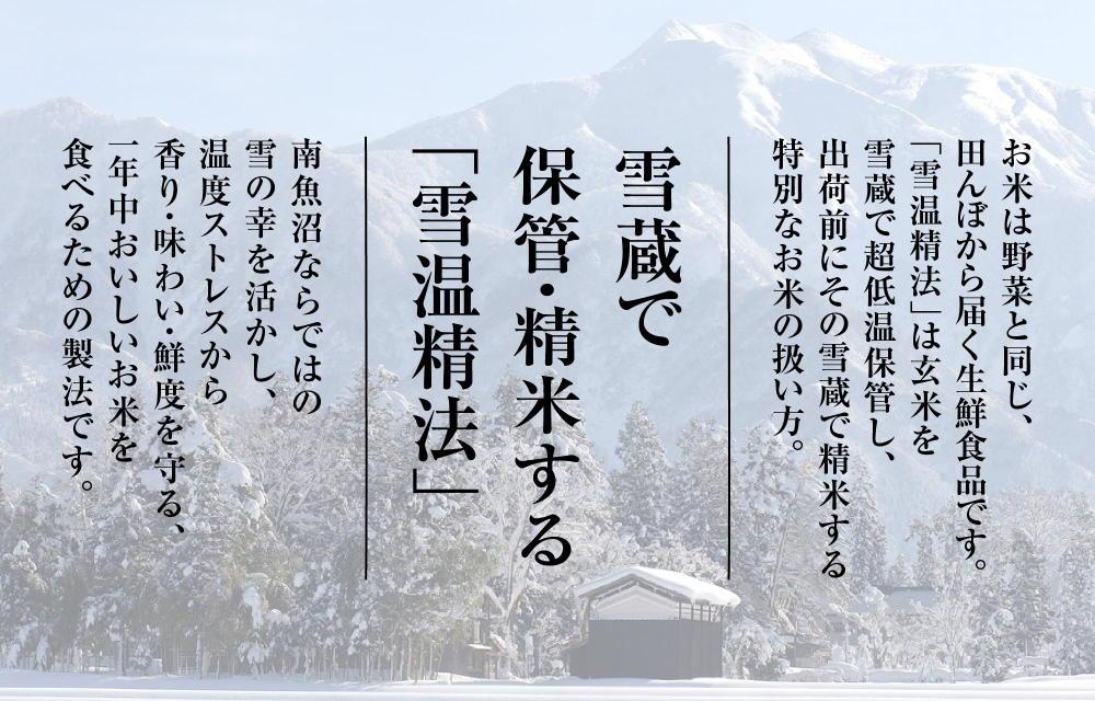 【定期便】南魚沼産こしひかり（10kg×全12回）契約栽培　雪蔵貯蔵米　