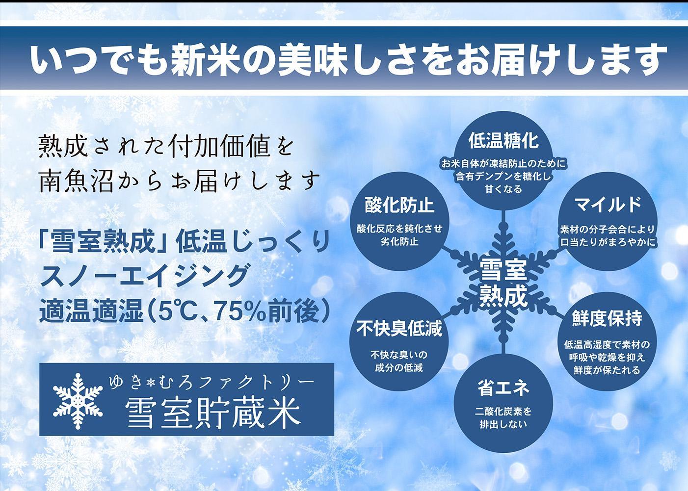 【定期便2kg×3回】雪室貯蔵米 南魚沼塩沢産コシヒカリ　