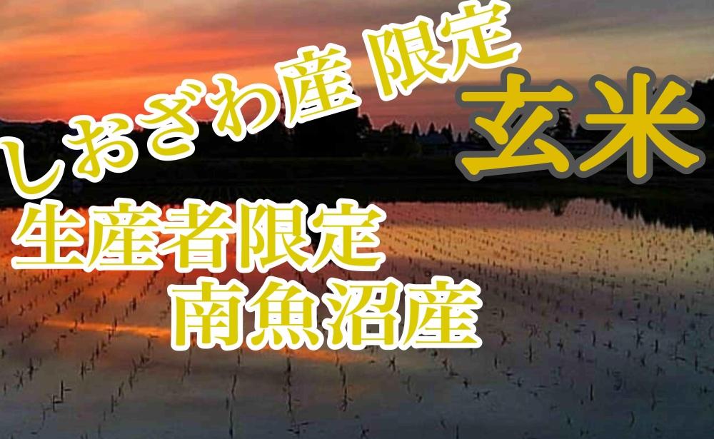 【4kg】玄米 しおざわ産限定 生産者限定 南魚沼産コシヒカリ
