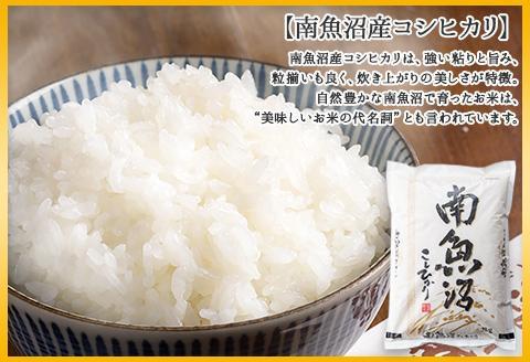 譁ー貎溽恁 蜊鈴ュ壽イシ逕」 繧ウ繧キ繝偵き繝ェ 縺薙@縺イ縺九j 縺顔アウ 2kg テ2蛟 險4kg 邊セ邀ウ 鬲壽イシ 邀ウ 轤翫″譁ケ繧ャ繧、繝我サ倥″