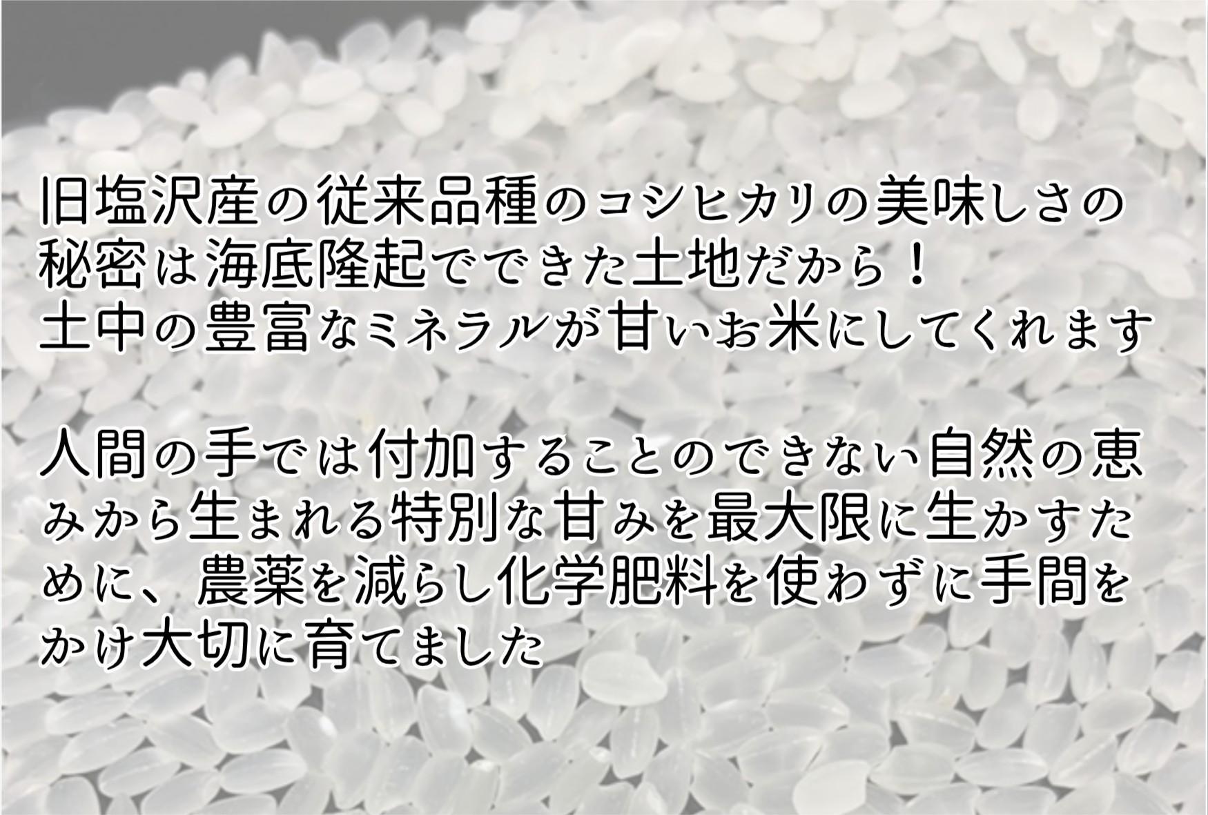 【新米】令和６年産　南魚沼塩沢産コシヒカリ　特別栽培米　白米５kg