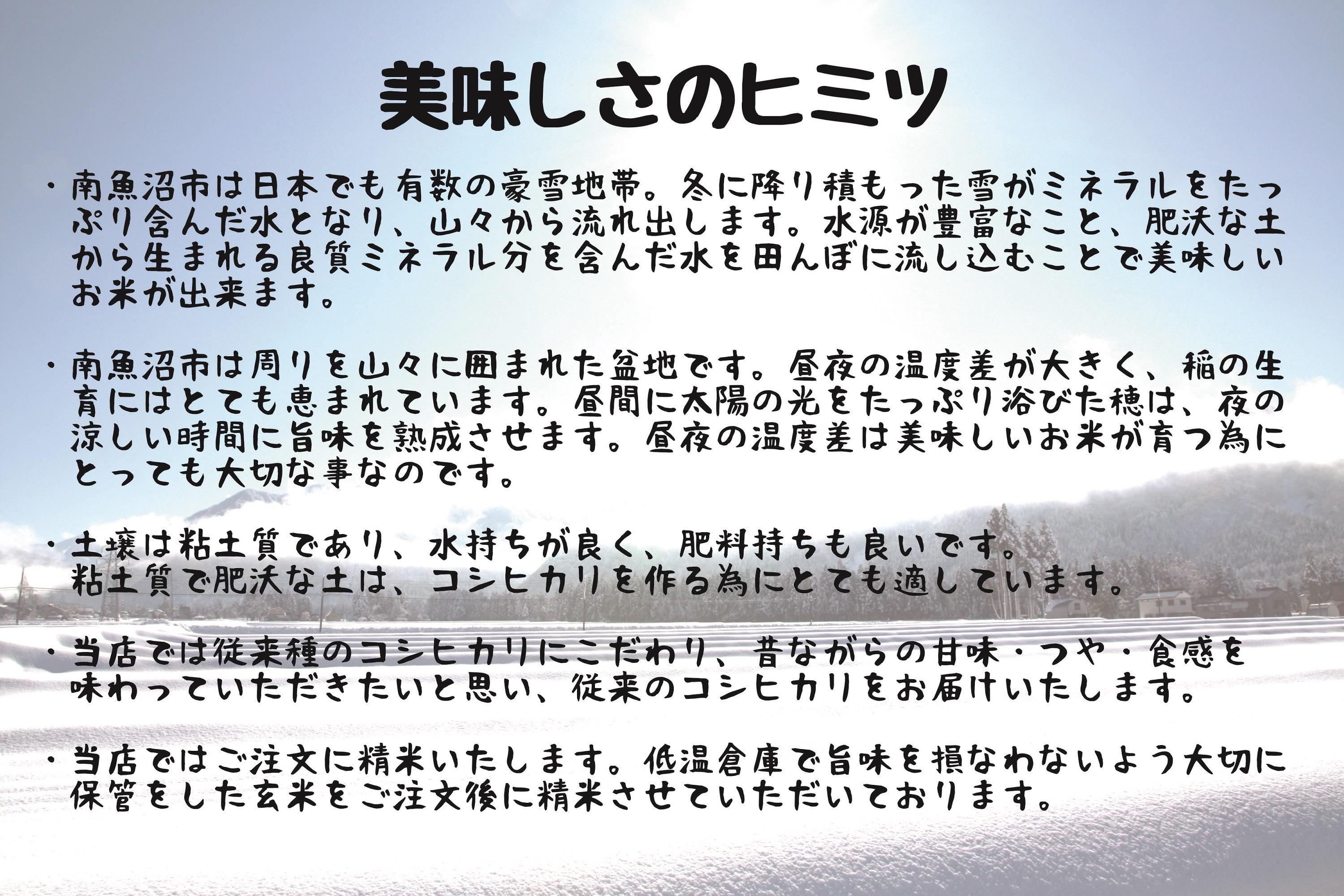 令和6年産 南魚沼産コシヒカリ特別栽培米5kg