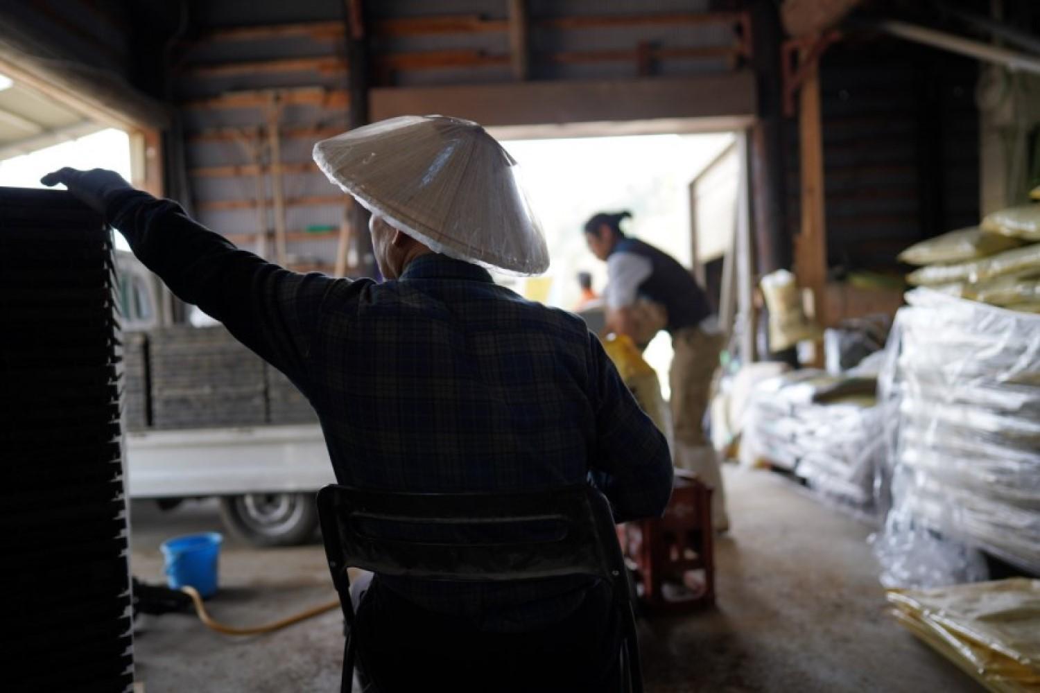 《 令和7年産》【 定期便 】 5kg × 6ヵ月 最高金賞受賞 南魚沼産コシヒカリ 雪と技   農薬8割減・化学肥料不使用栽培