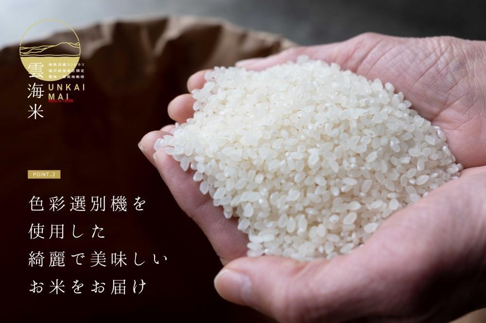 【定期便】南魚沼産コシヒカリ　雲海米　無洗米5kg x 全12回