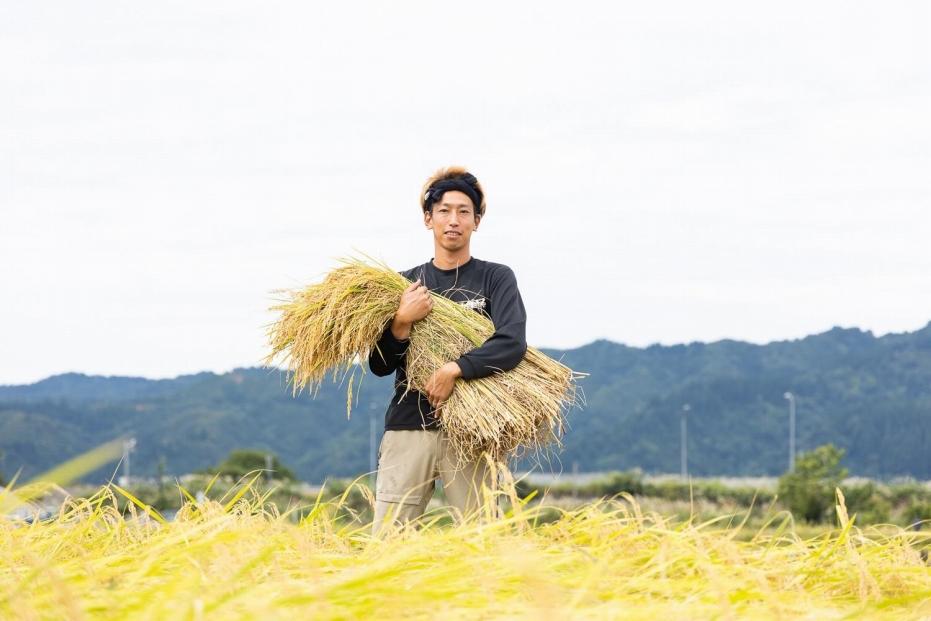 令和6年産新米予約【OZAWA＆HIROTA】　精米各2ｋｇ食べ比べセット　内閣総理大臣賞受賞×南魚沼産コシヒカリ食味コンテスト優秀賞受賞　特A地区　南魚沼産コシヒカリ