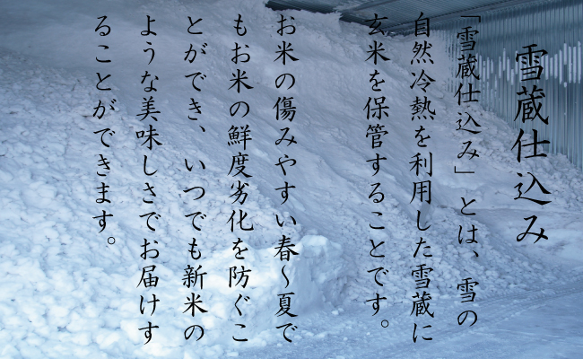 【2025年10月発送　先行受付】南魚沼産こしひかり2kg×全6回　契約栽培  雪蔵貯蔵米