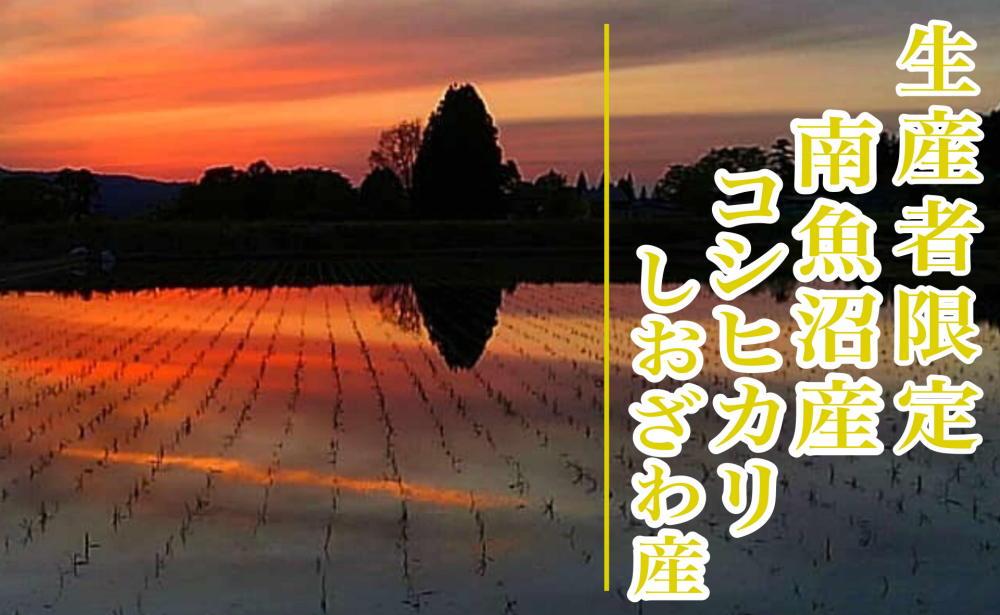 【新米予約・令和6年産】定期便３ヶ月：精米5kg生産者限定 南魚沼しおざわ産コシヒカリ