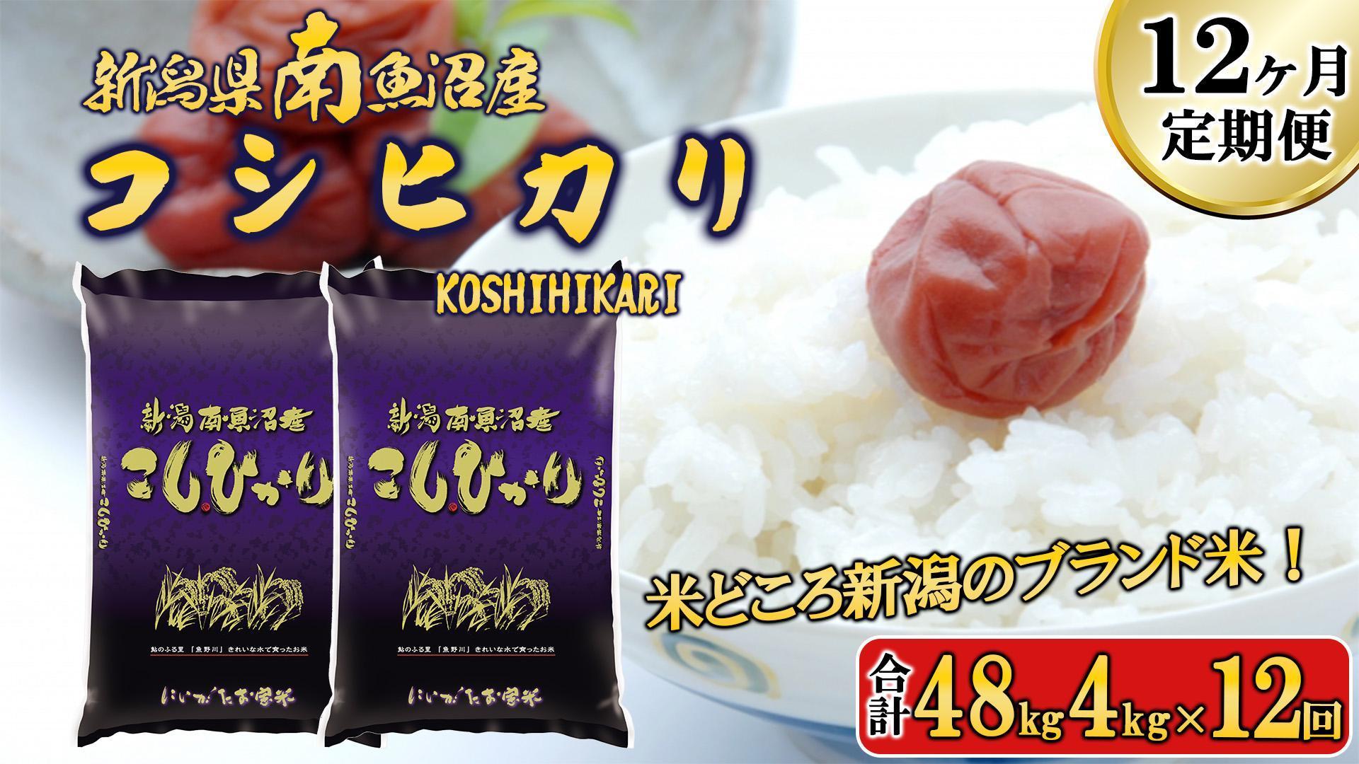 【令和6年産新米予約／令和6年11月上旬より順次発送】【F-12定期便】南魚沼産コシヒカリ4kg×12回