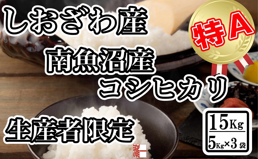 【令和7年産】生産者限定 契約栽培 南魚沼しおざわ産コシヒカリ15Kg（５Kg×3袋）【2025年10月上旬より順次発送予定】