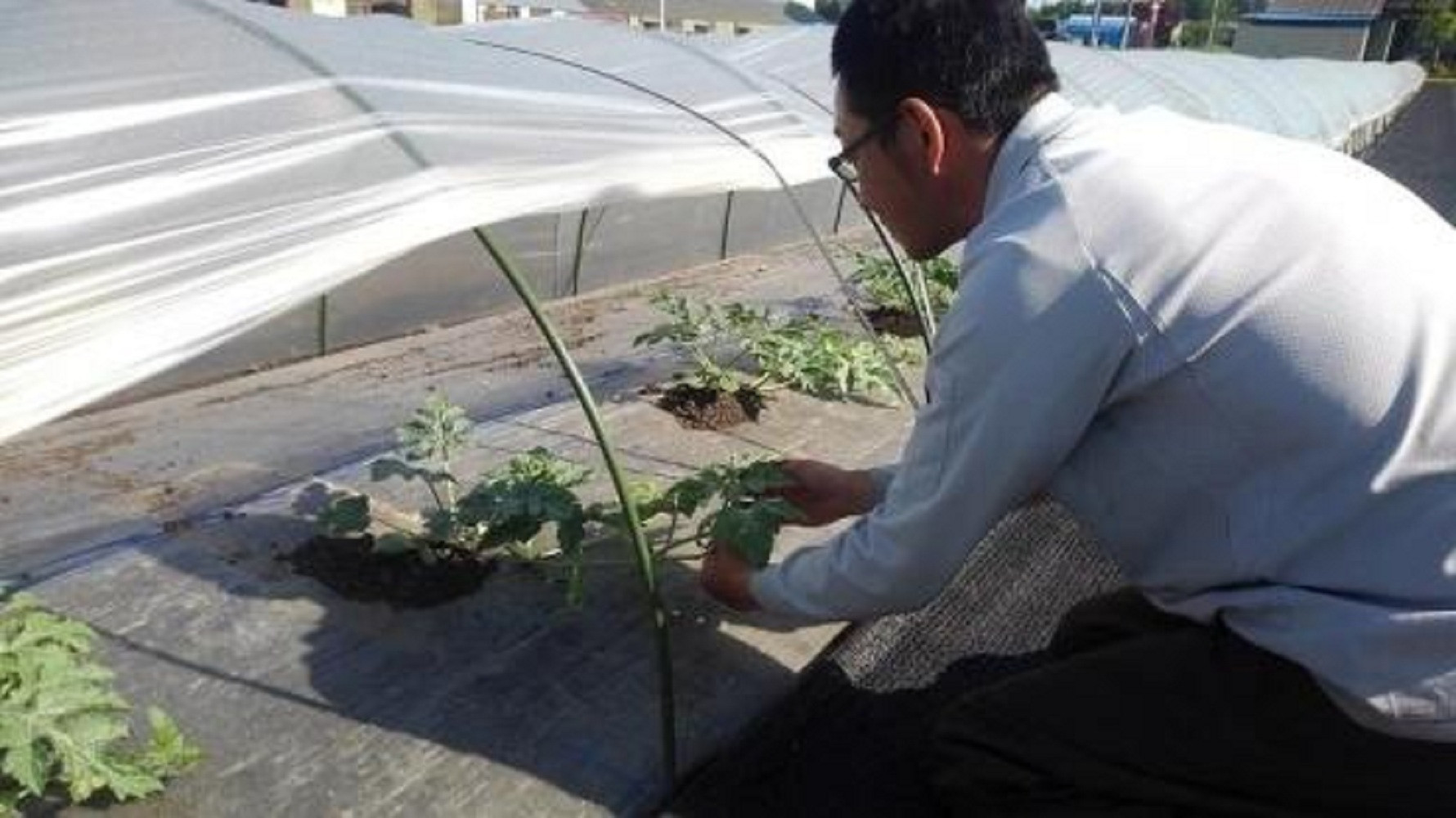 2026幎7æäžæ¬ããçºéäºå®ãéèãœã ãªãšãµãããéè³åè³ããæž
氎蟲åã®å
«è²ç£å°çã¹ã€ã«ãïŒ2çïŒ