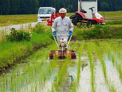 南魚沼産コシヒカリ精米5kg（有機肥料栽培、8割減農薬米）