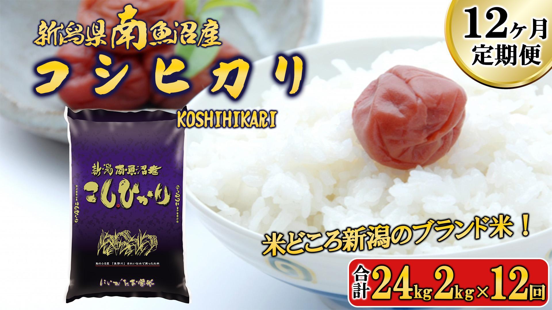 【令和6年産新米予約／令和6年11月上旬より順次発送】【B-12定期便】南魚沼産コシヒカリ2kg×12回