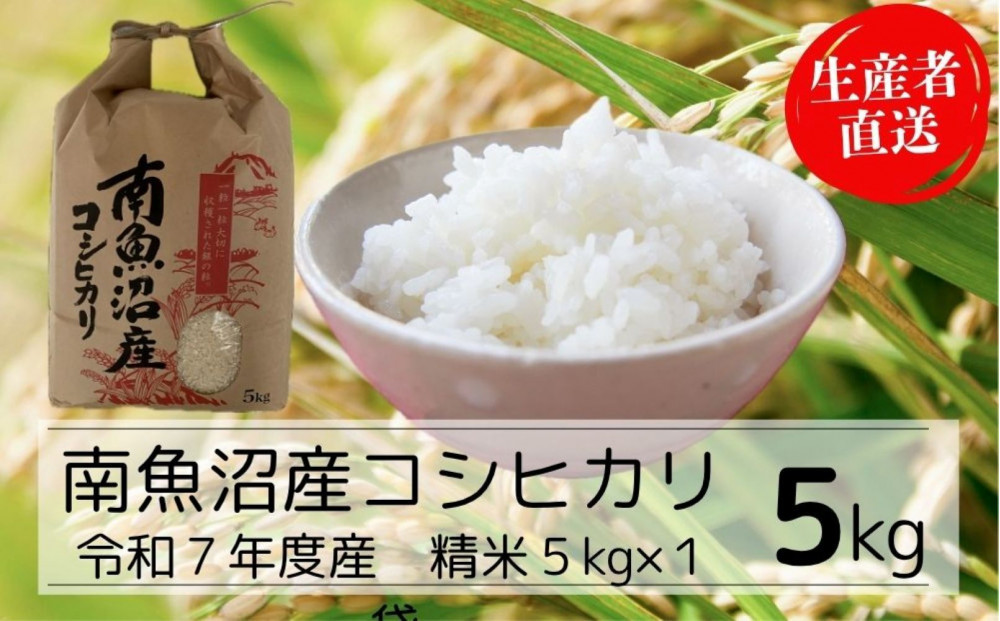 【令和7年産】【精米】南魚沼産コシヒカリ特A（精米5kg）