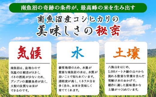 【新米発送】 令和6年産 新潟県 南魚沼産 コシヒカリ お米 2kg 精米済み（お米の美味しい炊き方ガイド付き） お米 こめ 白米 新米 こしひかり 食品 人気 おすすめ 送料無料 魚沼 南魚沼 南魚沼市 新潟県産 新潟県 精米 産直 産地直送 お取り寄せ