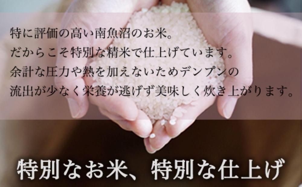 【新米予約】令和6年度産 吟精無洗米 南魚沼産コシヒカリ 2kg