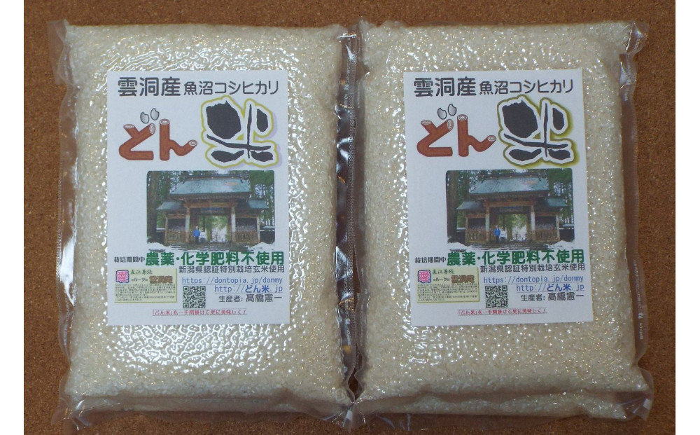 【頒布会】南魚沼産「どん米」白米真空パック4.8kg×１０ヶ月　ちょっと！うるさいよ！炊き方
