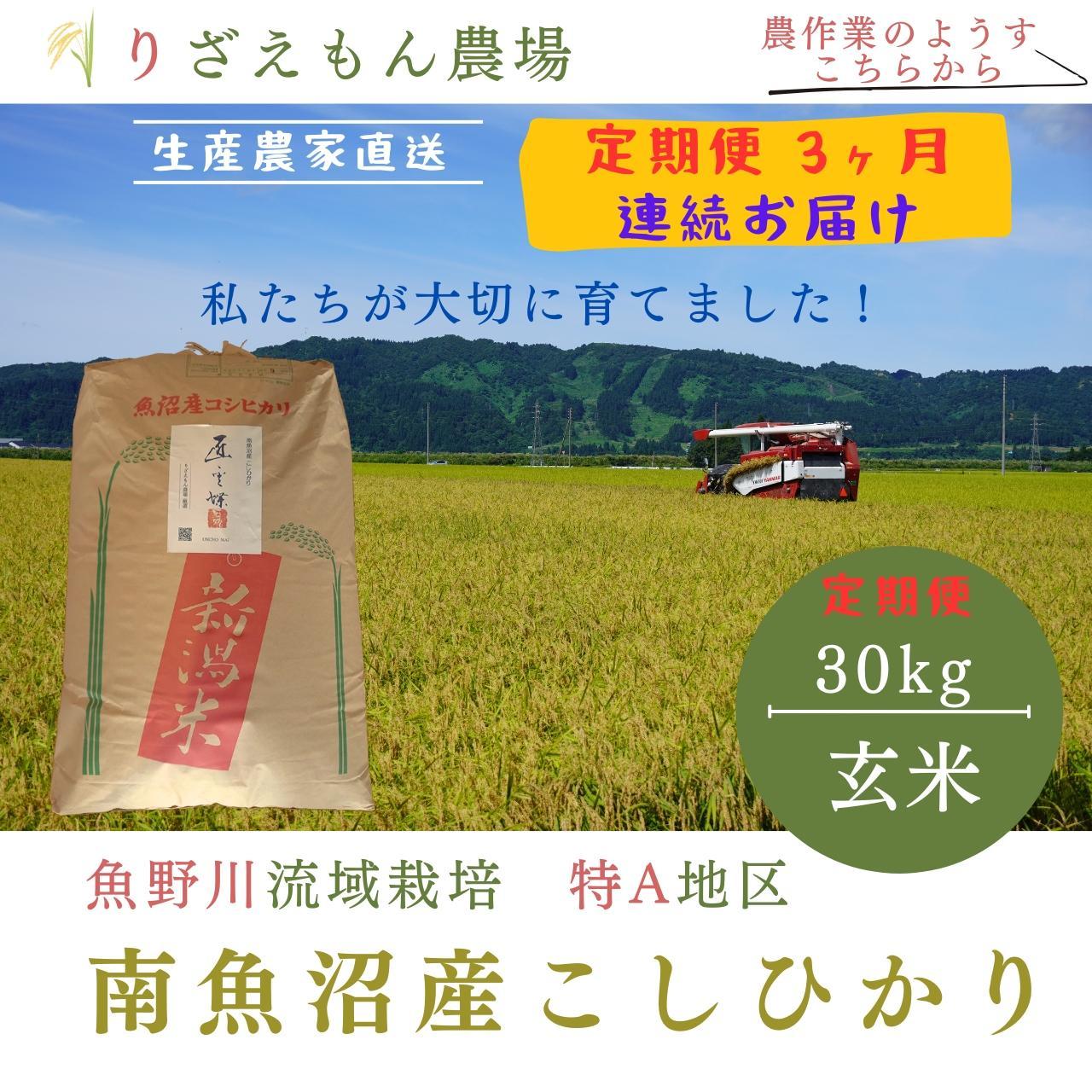 《新米予約受付》【定期便3回×玄米３０kg《合計９０kg》】令和６年産　南魚沼産コシヒカリ　玄米 ３０kg　＼生産農家直送／