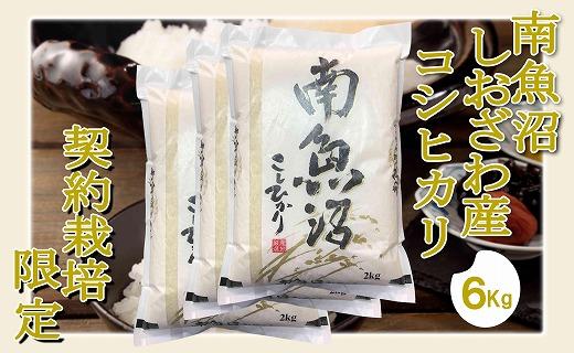【令和7年産】【精米6Kg】契約栽培限定 南魚沼しおざわ産コシヒカリ