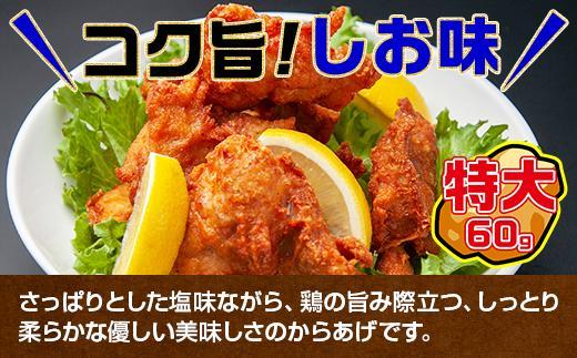 ES247 どでか味付けから揚げ うま塩味 500g×2パック 計1kg 大容量 唐揚げ からあげ から揚げ しお 塩 揚げ物 冷凍 惣菜 簡単 調理 肉 おかず 味付き 野崎フーズ 新潟県 南魚沼市