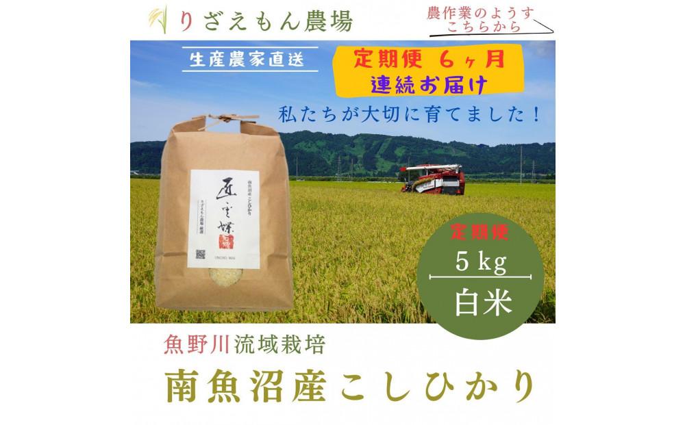 《新米予約受付》【定期便６回×５kg≪合計３０kg≫】令和６年産　南魚沼産コシヒカリ　白米 5kg　＼生産農家直送／