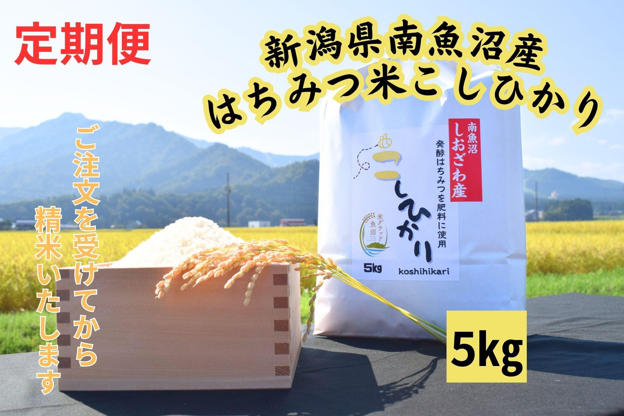 【定期便】　南魚沼しおざわ産　はちみつ米　5kg×6か月　新米