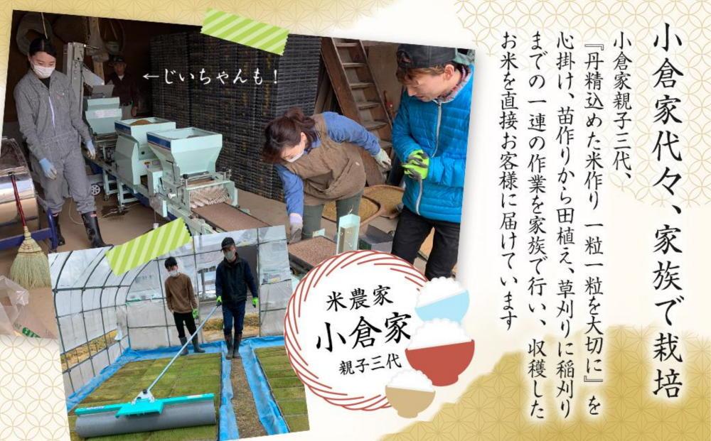 【生産者直送】【定期便６ヶ月】令和６年産 南魚沼産こしひかり5kg×全6回　合計30kg  白米  オグライスファーム＜コシヒカリ 精米 農家直送＞