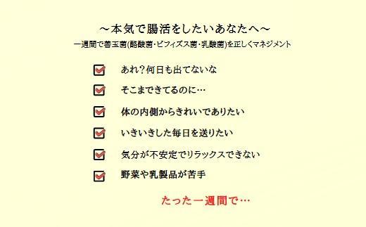 酪酸菌サプリ｜ヤーコンのフラクトオリゴ糖を酵素化「発酵ヤーコン」5ｇ×60包入