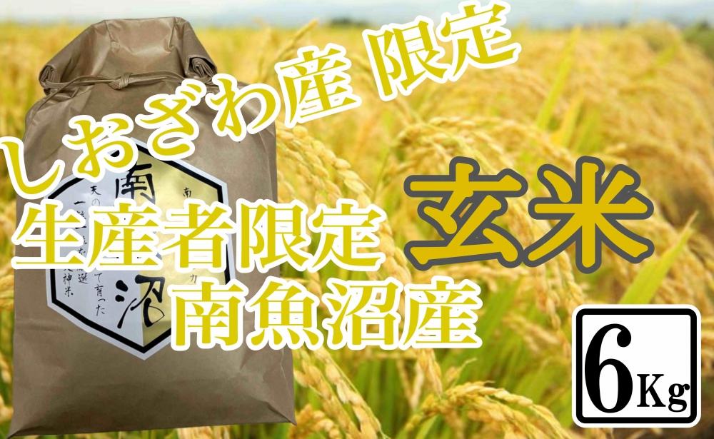 【6kg】玄米 しおざわ産限定 生産者限定 南魚沼産コシヒカリ