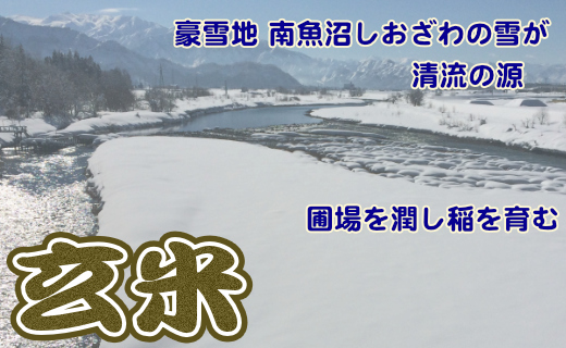 玄米 生産者限定 南魚沼しおざわ産コシヒカリ2Kg