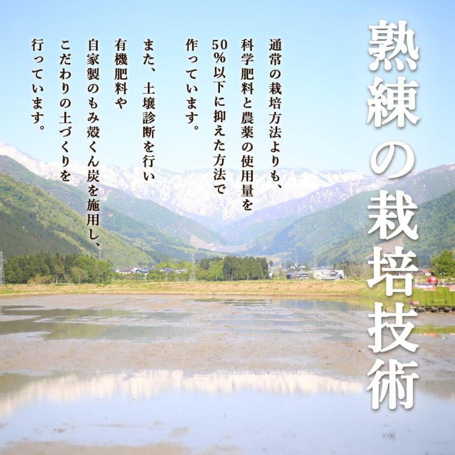 【定期便 令和6年産新米予約】（全12ヶ月）もっちり甘い！南魚沼産コシヒカリ 白米5kg ひらくの里ファーム