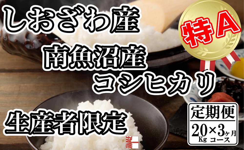 【令和7年産】【定期便：20Kg×3ヶ月】生産者限定 契約栽培 南魚沼しおざわ産コシヒカリ【2025年10月上旬より順次発送予定】