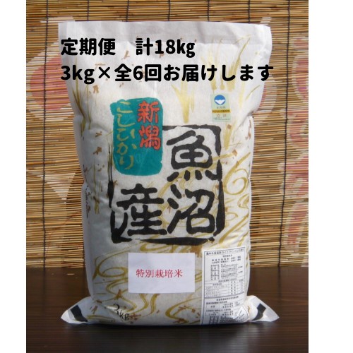 【令和６年産新米予約／令和6年9月下旬より順次発送】【6か月定期便】がんこおやじが作った南魚沼産コシヒカリ白米３kg