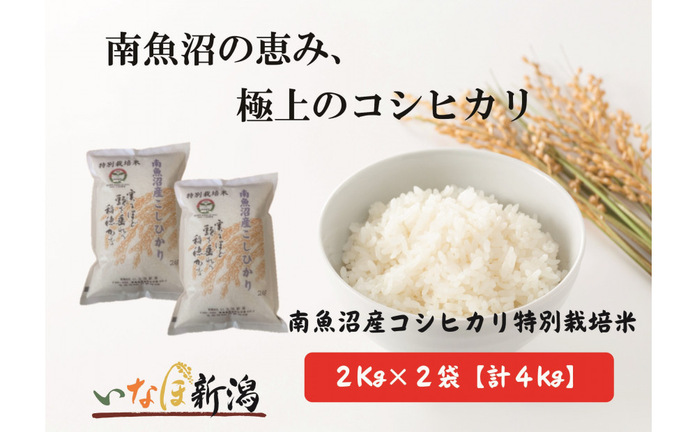 【令和7年産米】南魚沼産コシヒカリ特別栽培米 白米 2kg×2袋 計4kg