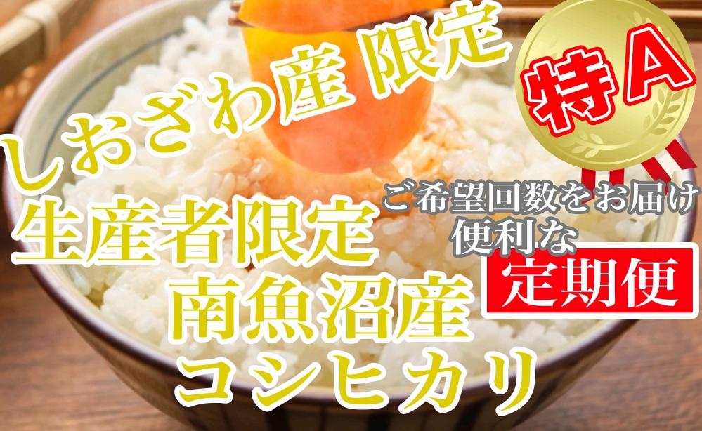 【令和7年産】【定期便6kg×6ヶ月】しおざわ産限定 生産者限定 南魚沼産コシヒカリ