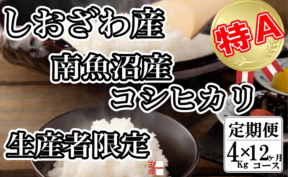 【令和7年産】【定期便：４Kg×12ヶ月】生産者限定 契約栽培 南魚沼しおざわ産コシヒカリ【2025年10月上旬より順次発送予定】
