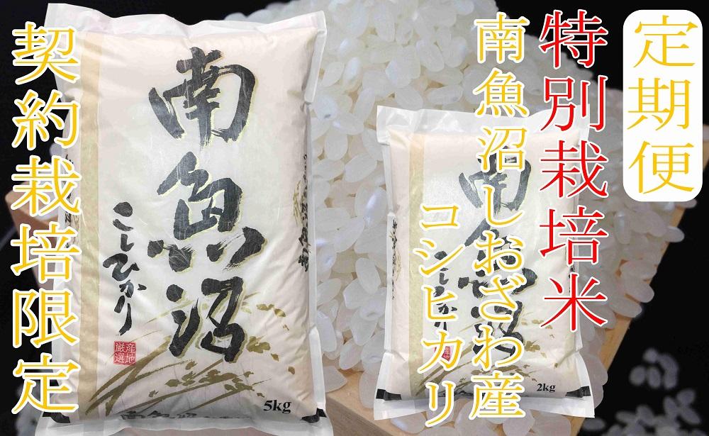 ※定期便：5Kg×12ヶ月※特別栽培 生産者限定  南魚沼しおざわ産コシヒカリ