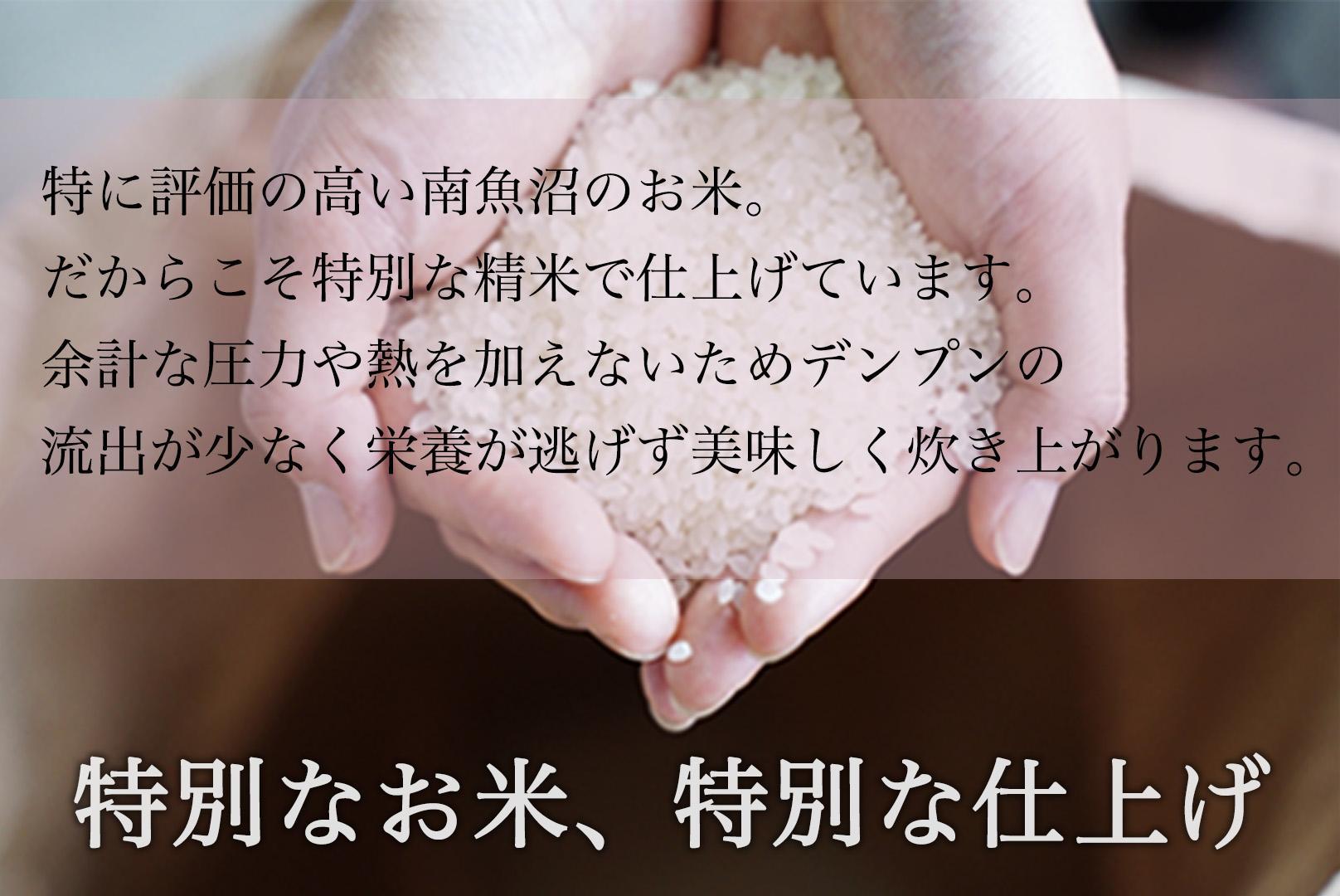 縲仙ョ壽悄萓ソ縲台サ、蜥7蟷エ逕」 蜊鈴ュ壽イシ逕」繧ウ繧キ繝偵き繝ェ縲雁澄邊セ辟。豢礼アウ縲 2kgテ3陲 6繝カ譛磯」邯