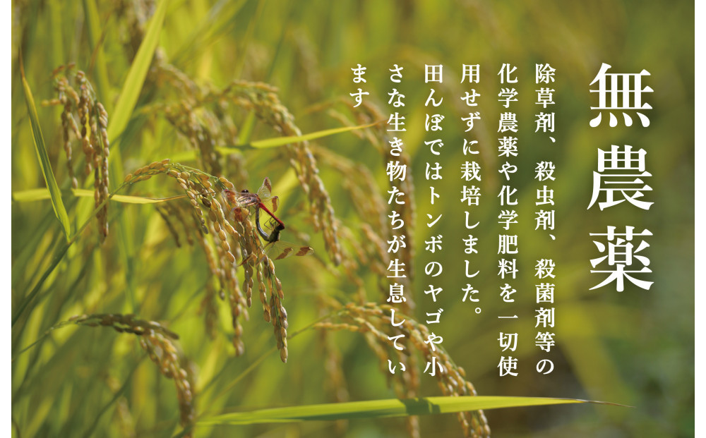 【令和7年産】プロフェッショナル出演 関智晴がつくる最高級 無農薬栽培米15kg  南魚沼産コシヒカリ