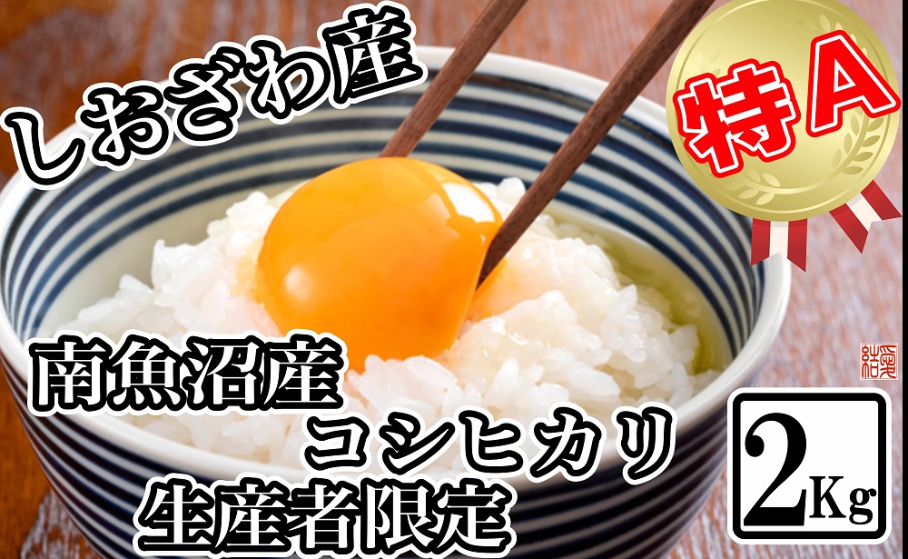 【令和7年産】【生産者限定 契約栽培】南魚沼しおざわ産コシヒカリ2kg