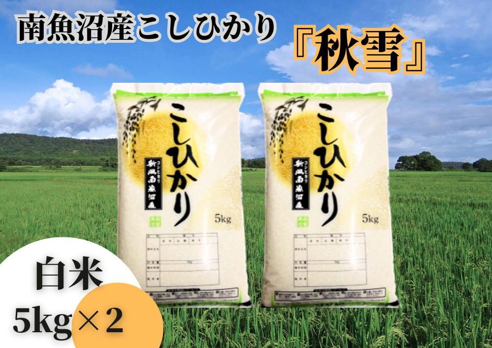 【12月20日ご入金確認分まで年内発送】【令和7年産】南魚沼産こしひかり「秋雪」白米10kg 新潟県の特A地区南魚沼市の美味しいお米
