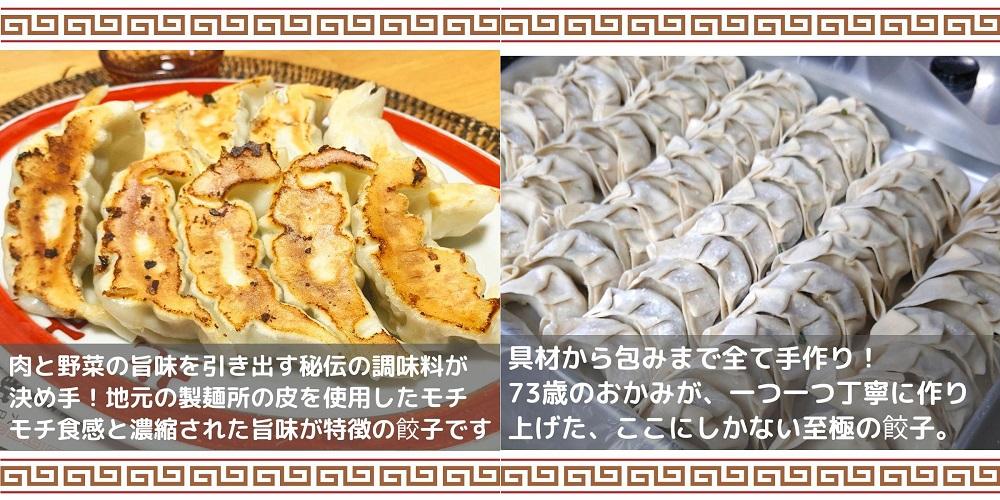  【全6種類！ バラエティーお試しセット】 塩麹 しょうが油 から揚げ 和風発酵ピザ  野菜餃子 若鶏の半身揚げ 各種1袋 計6袋