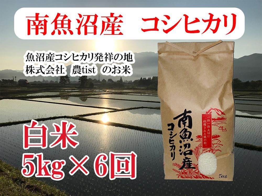 【定期便 南魚沼産】コシヒカリ 白米5kg×6回