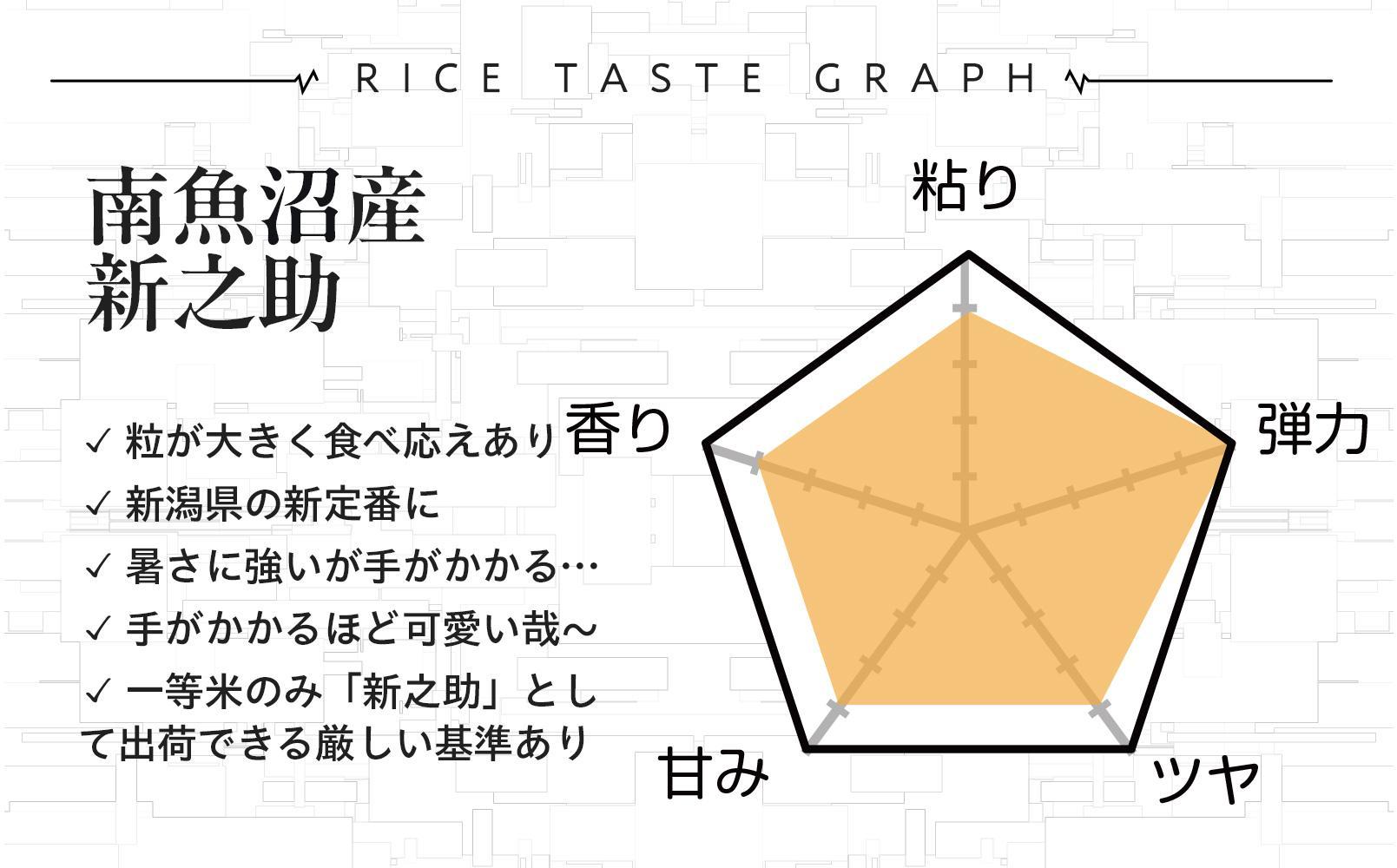 新米【令和6年産】玄米5kg 南魚沼産新之助 農家直送_AG