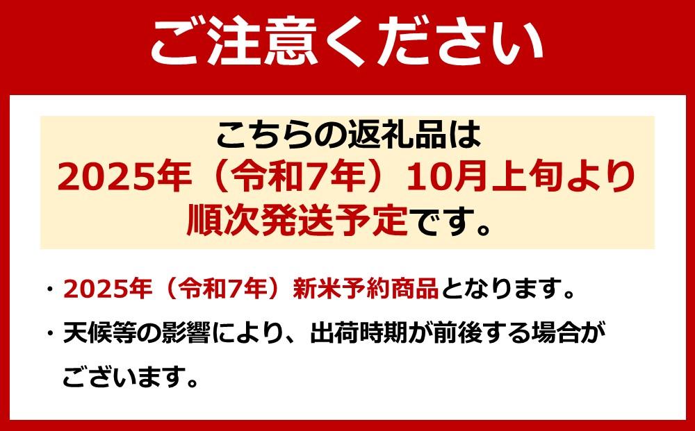 【令和7年産新米予約】【定期便（無洗米）】南魚沼産コシヒカリ（2kg×6回)