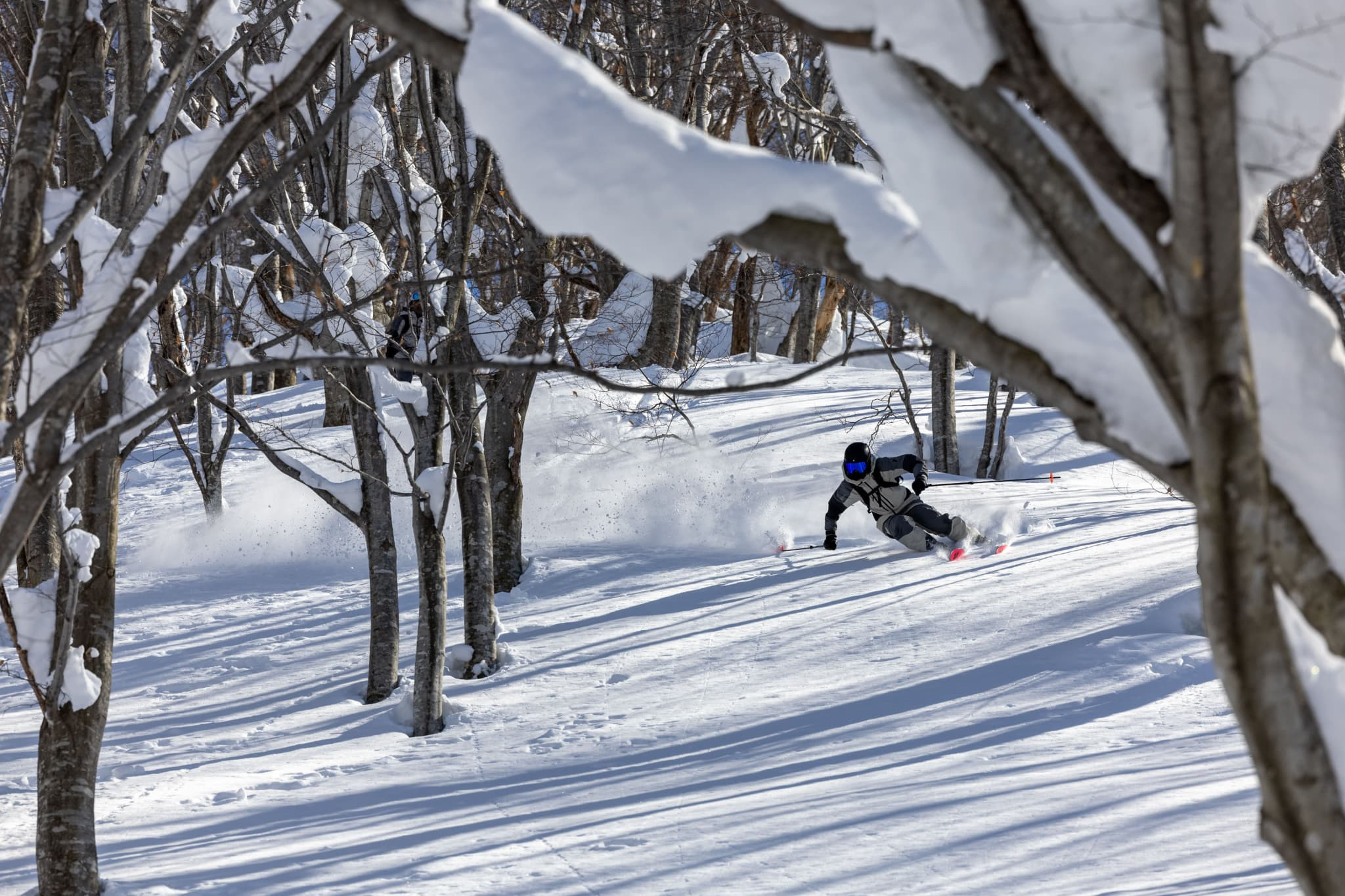 舞子スノーリゾート 25ー26シーズンリフト1日引換券(大人1名様分)