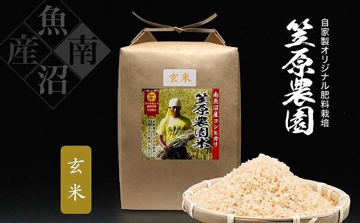 【定期便】【令和6年産新米予約／令和6年10月上旬より順次発送】南魚沼産 笠原農園米 コシヒカリ玄米【5kg×全６回】