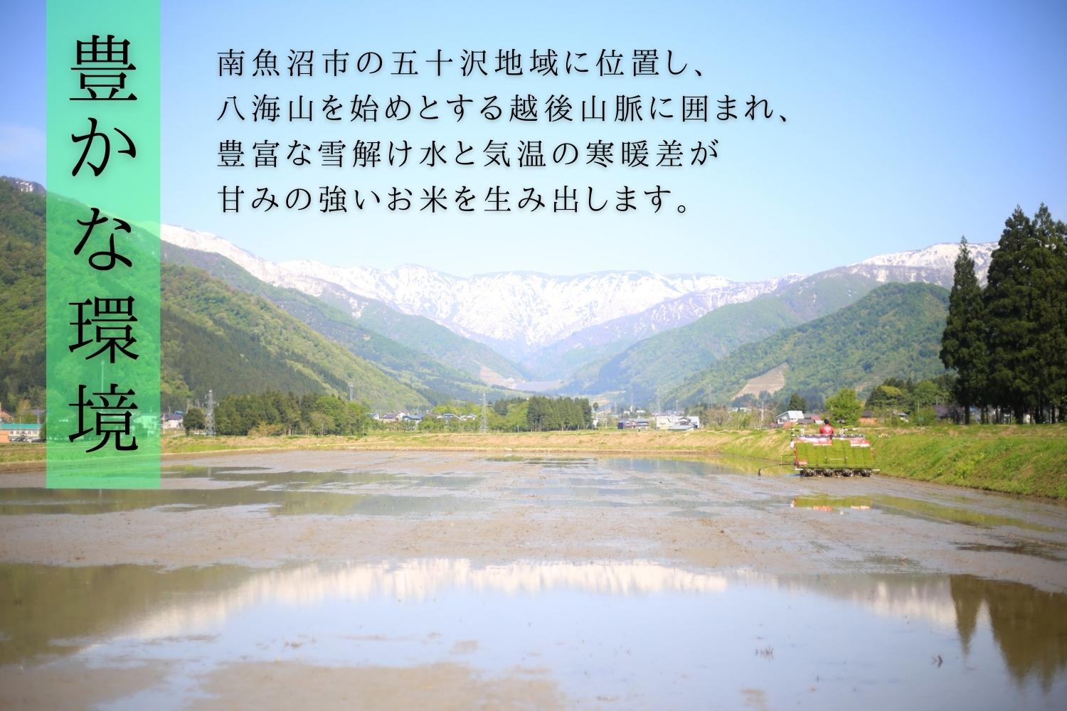 ãR7幎ç£ãæé«éè³ åéæ²Œç£ã³ã·ãã«ãª çœç±³5kgÃ2 ãã£ã¡ãçãïŒ ã²ããã®éãã¡ãŒã