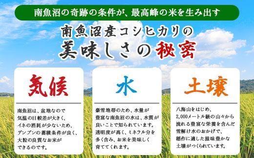 【令和7年産】 【無地熨斗】｜無洗米｜新潟県 南 魚沼産 コシヒカリ お米 2kg ×3袋 計6kg（お米の美味しい炊き方ガイド付き）【2025年10月中旬より順次発送予定】