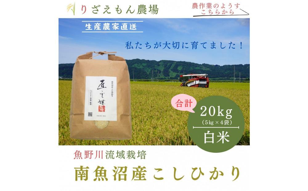 《新米予約》白米20kg　令和６年産　南魚沼産こしひかり　魚野川流域　匠 雲蝶(たくみ　うんちょう）＼生産農家直送／