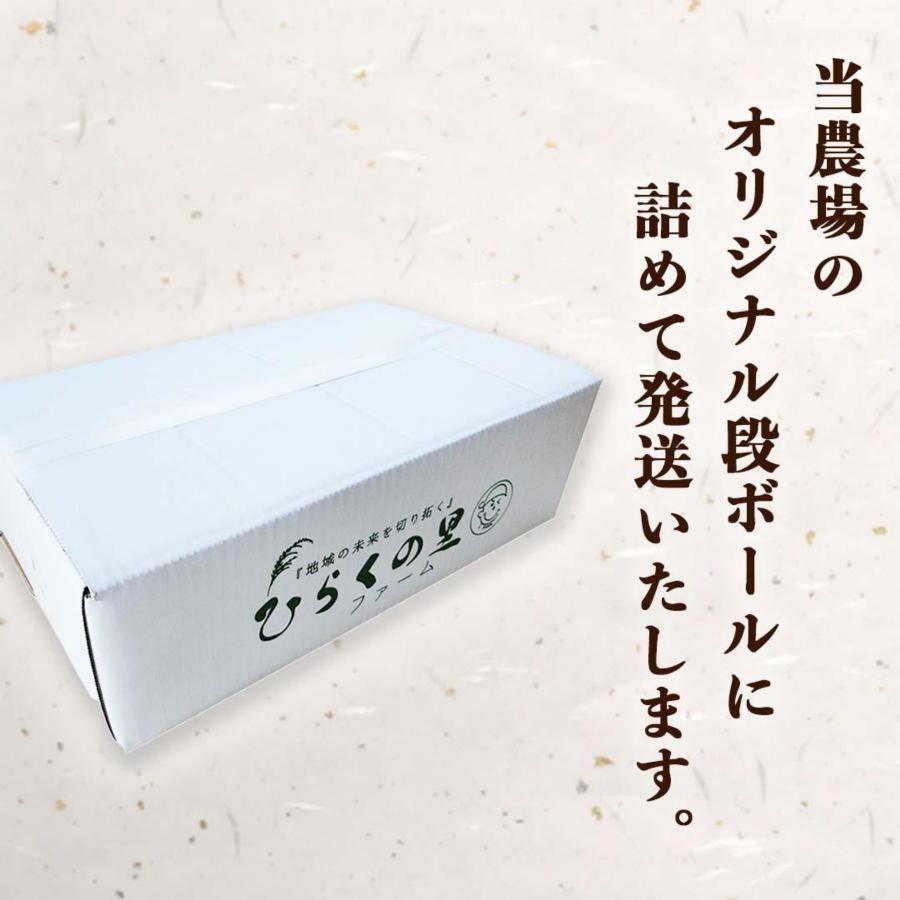 【定期便 令和6年産新米予約】（全6ヶ月）もっちり甘い！南魚沼産コシヒカリ 白米5kg ひらくの里ファーム